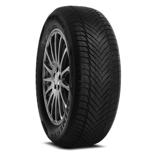 Minerva FROSTRACK HP 185/65R14