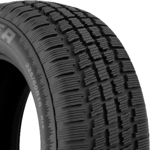 Cooper Weather-Master S/T2 225/60R16