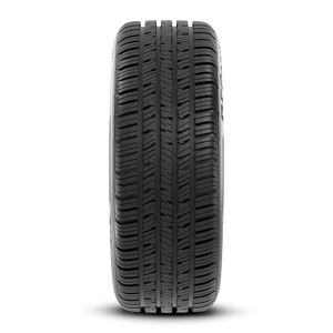 BFGoodrich Advantage Control 205/55R17