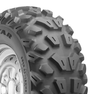 Goodyear Rawhide RS 25X8.00-12
