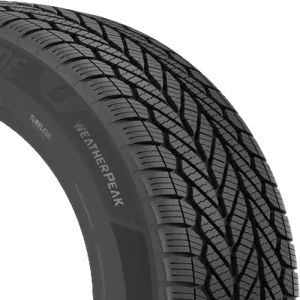 Bridgestone WeatherPeak 195/55R16