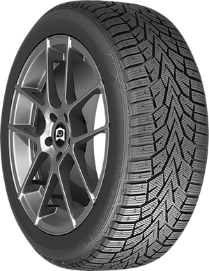 General Tire AltiMAX ARCTIC 12 205/55R16 94T XL - Wheelwiz