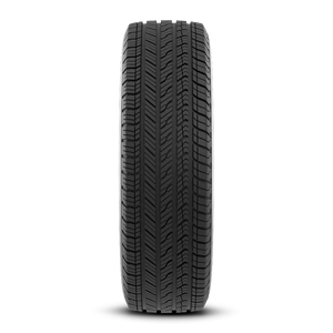 Bridgestone Alenza Sport A/S 255/40R21