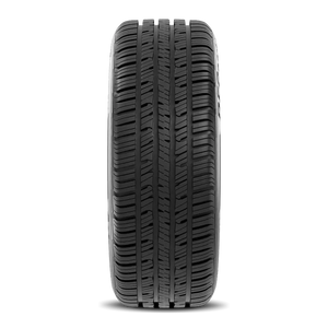 BFGoodrich Advantage Control 205/55R17