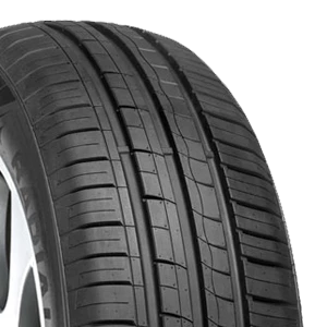 Minerva 209 165/60R14