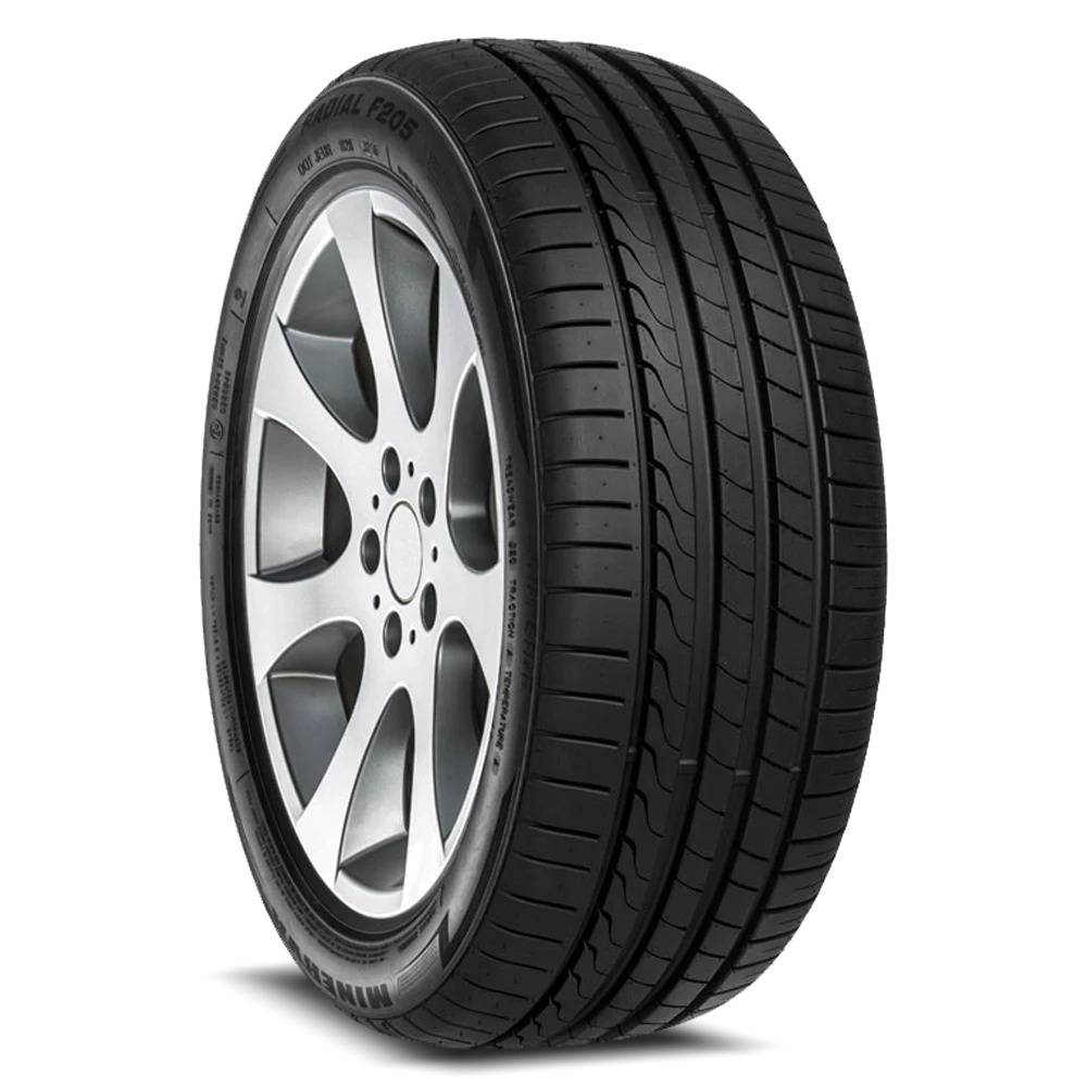 Minerva F209 195/50R16