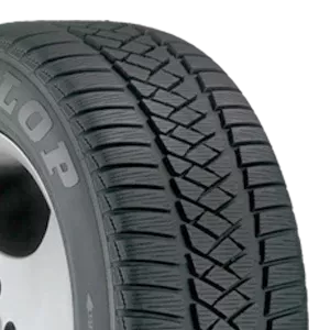 Dunlop Grandtrek WT M3 DSST Rof 255/55R18 - Wheelwiz