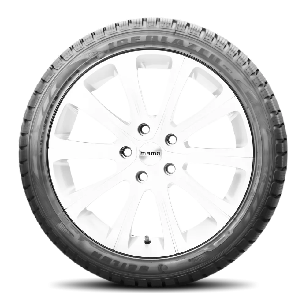Sailun Ice Blazer WST1 C-Type 225/70R15C