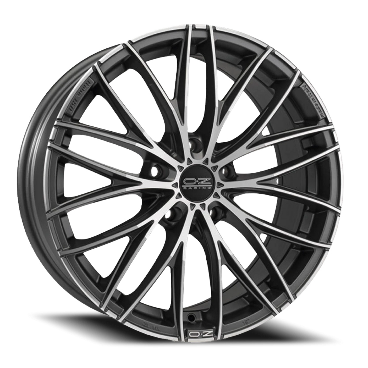 OZ Racing Italia 150 Matte Dark Graphite W/ Diamond Cut 18x8 +29 5x120mm 79mm - Wheelwiz