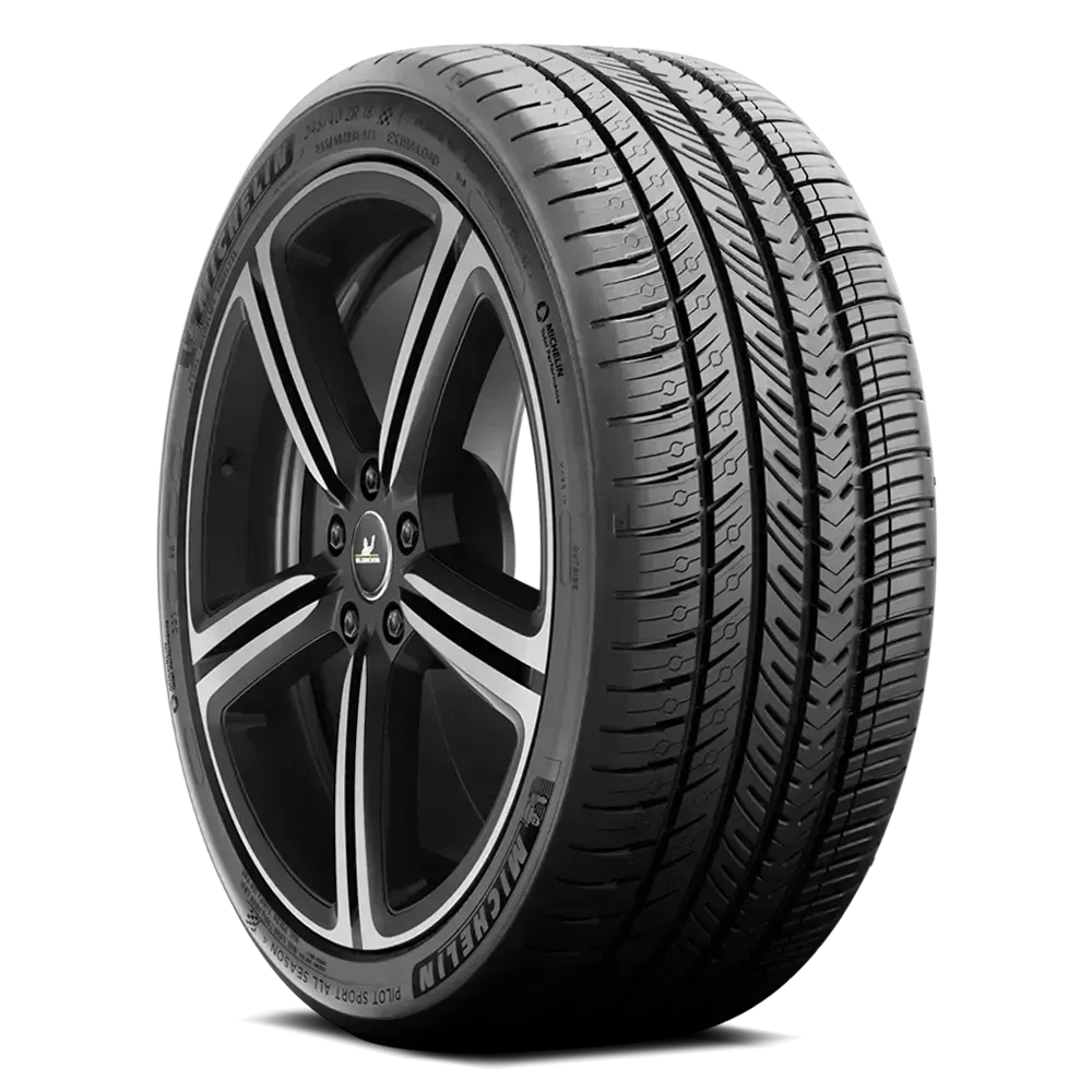 Michelin Pilot Sport A/S 4 335/25ZR20 - Wheelwiz