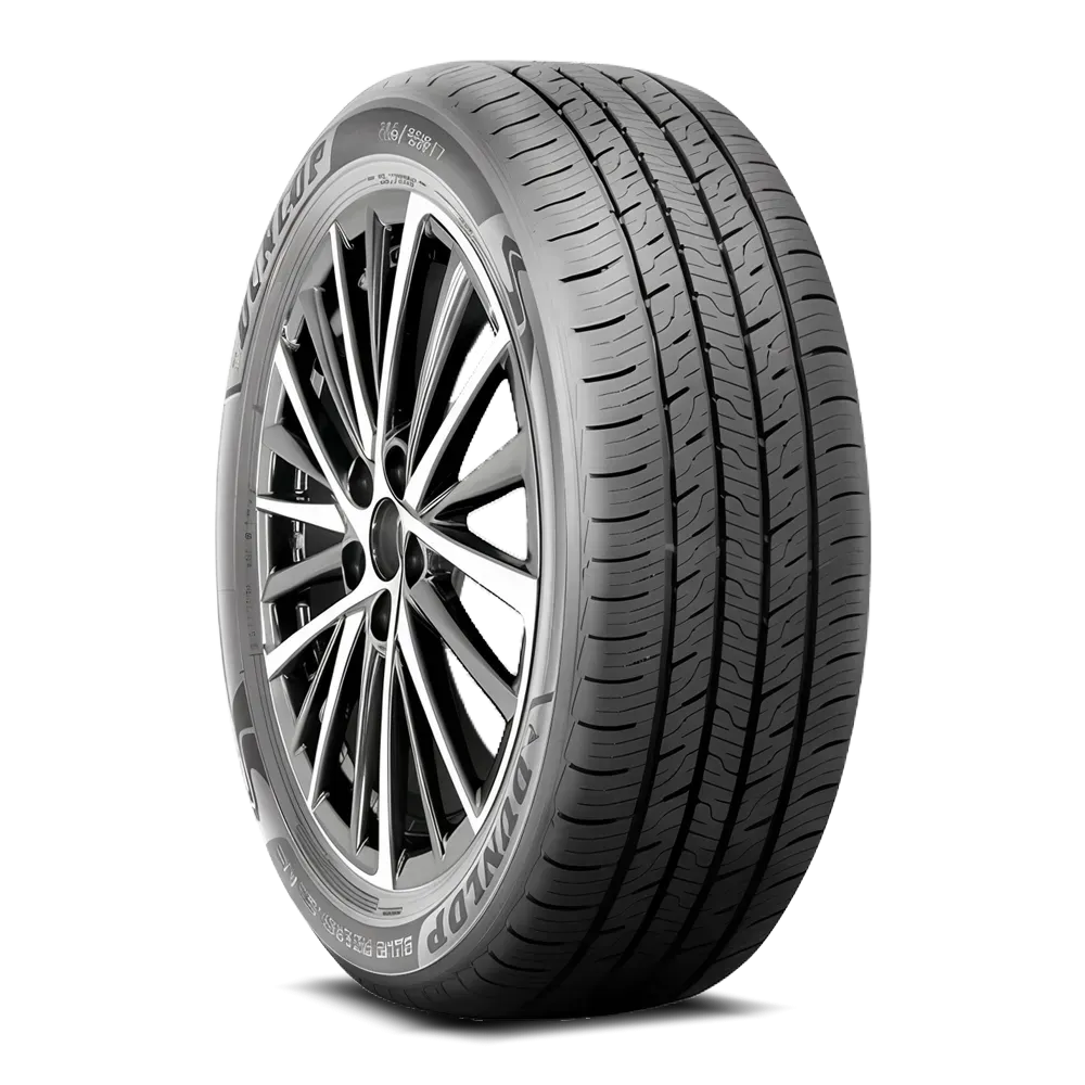 Dunlop Blue Response A/S 225/55R19