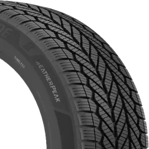 Bridgestone WeatherPeak 195/65R15