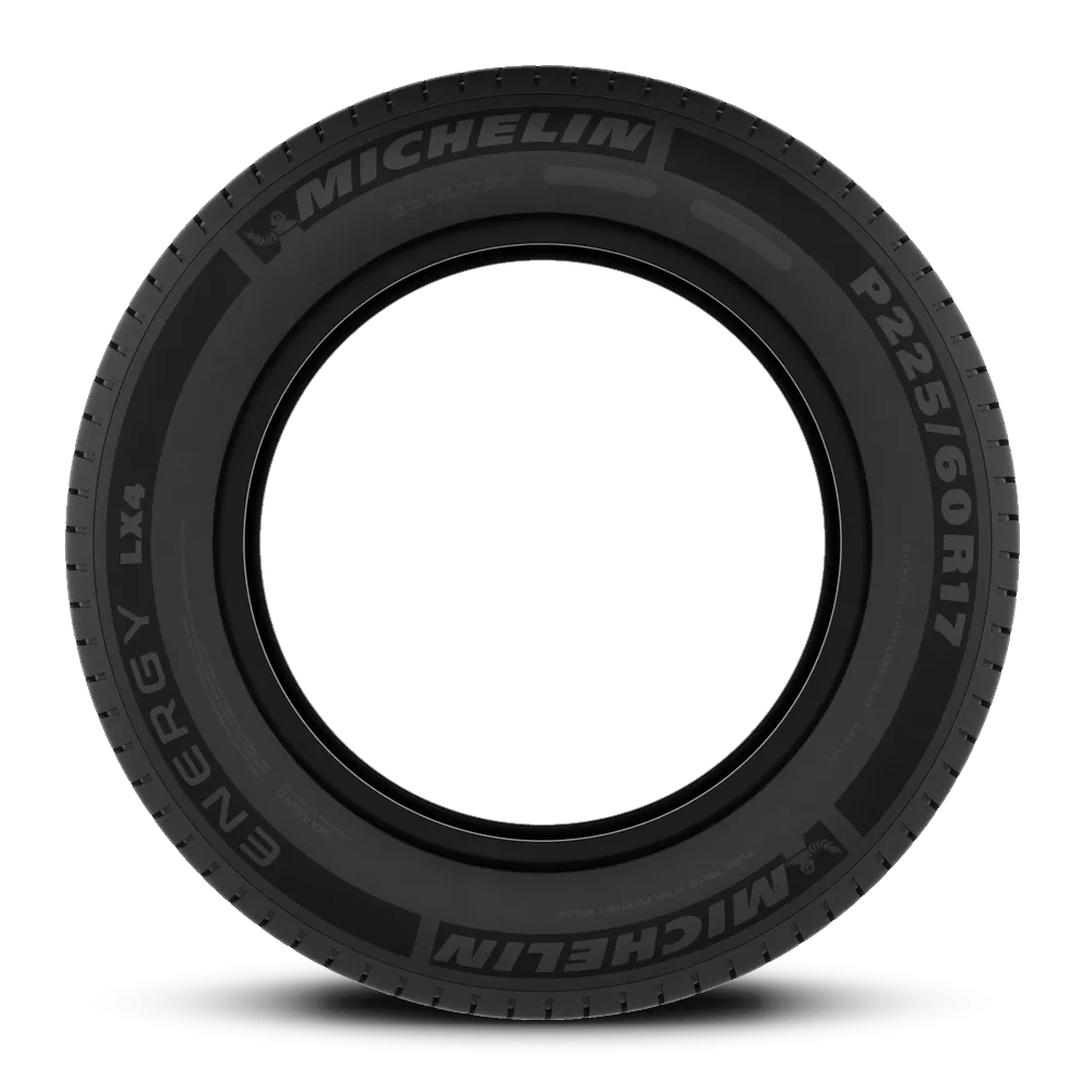 Michelin Energy LX4 225/60P17