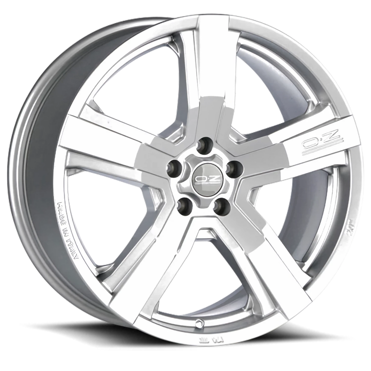 OZ Racing Versilia Matte Race Silver 20x9.5 +52 5x130mm 71.56mm