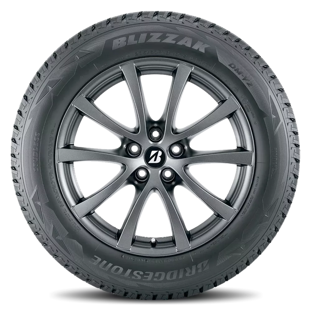 Bridgestone Blizzak DM-V2 255/70R16