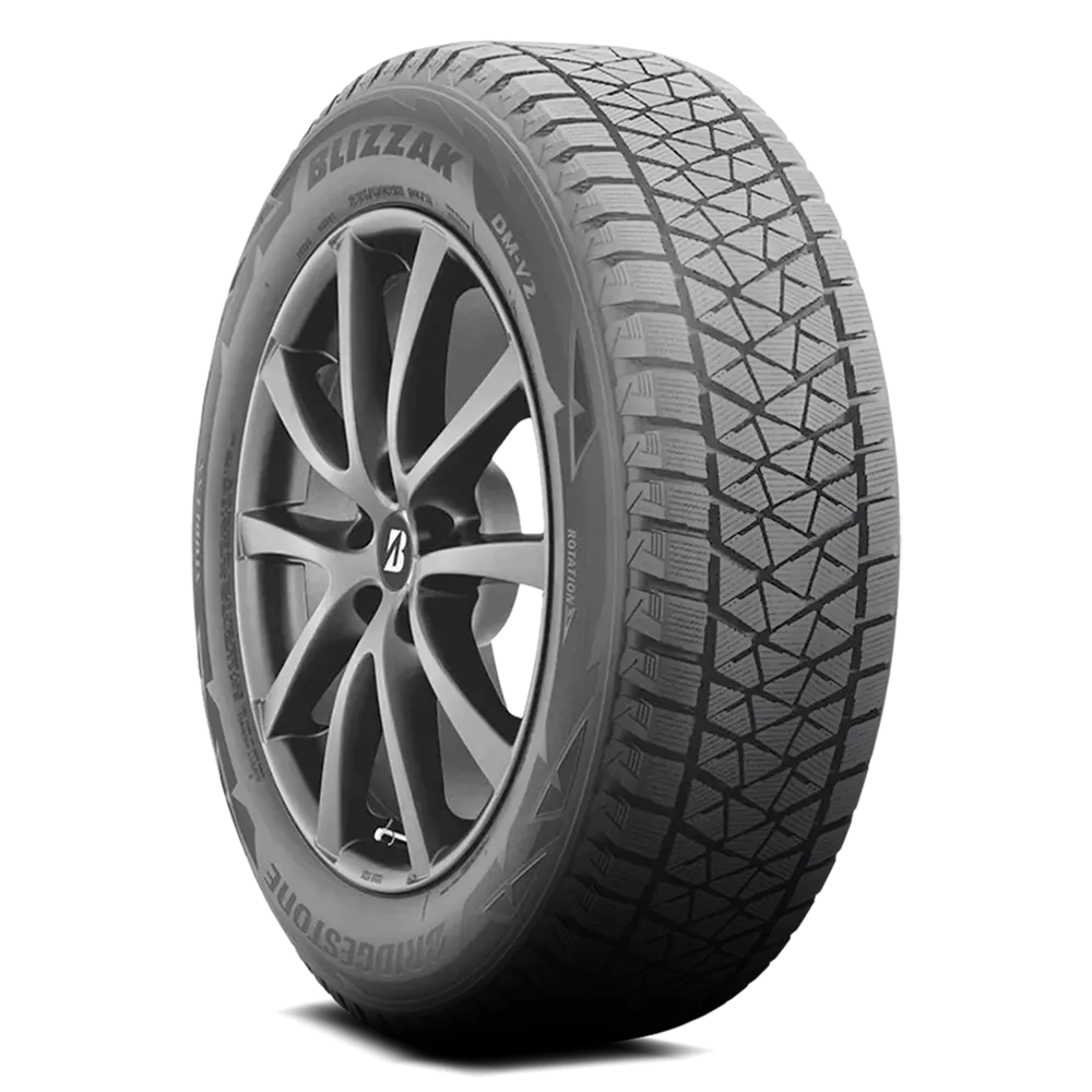 Bridgestone Blizzak DM-V2 P255/55R20