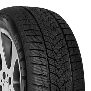 Minerva FROSTRACK UHP 255/45R19