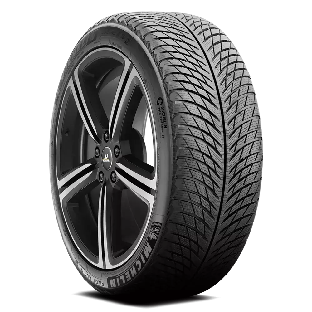 Michelin Pilot Alpin 5 295/30R21 102V XL
