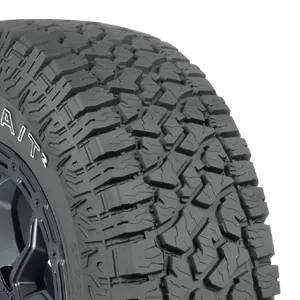 Fortune Tires TORMENTA A/T2 225/65R17 - Wheelwiz