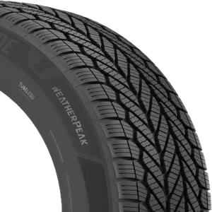Bridgestone WeatherPeak 245/60R18
