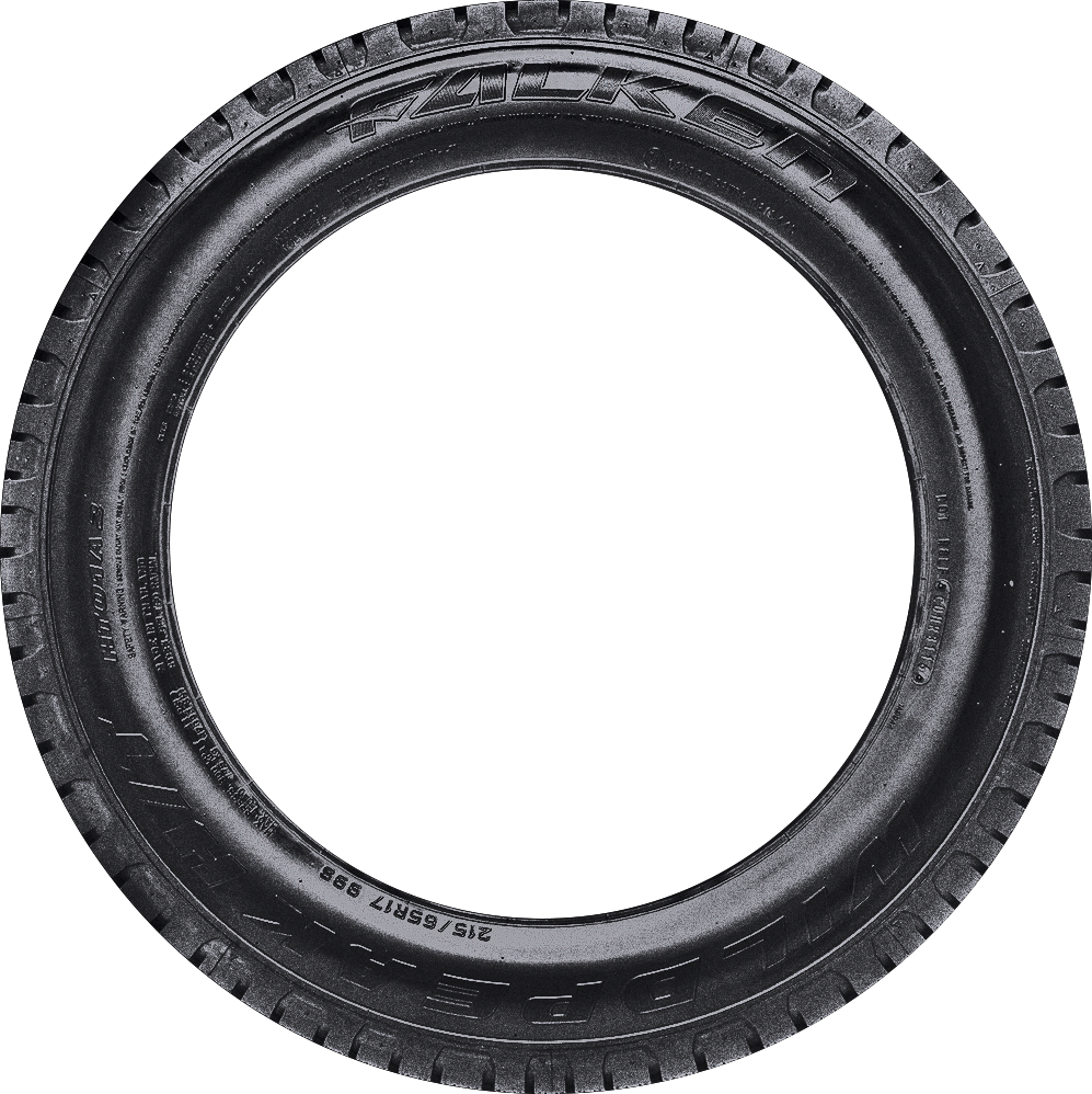 Falken WildPeak H/T 215/65R17 99S