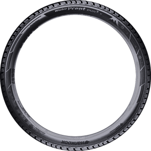 Hankook Winter icept evo3 X 245/50R20