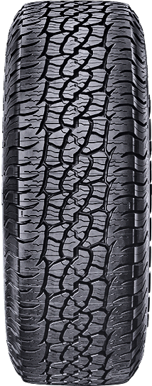 BFGoodrich Trail-Terrain T/A 205/80R16 - Wheelwiz