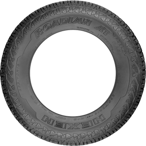 Nexen Roadian AT Pro RA8 LT265/70R17