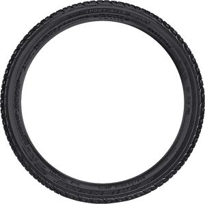 Michelin Pilot Sport A/S Plus 255/4519