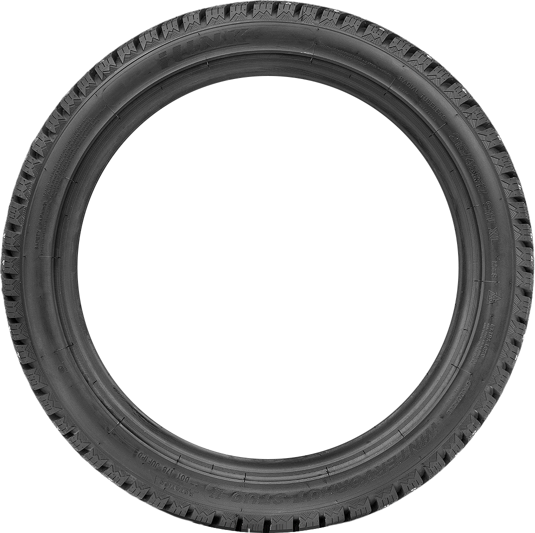iLink Wintervorhut Stud 2 205/55R17 STUDDED - Wheelwiz
