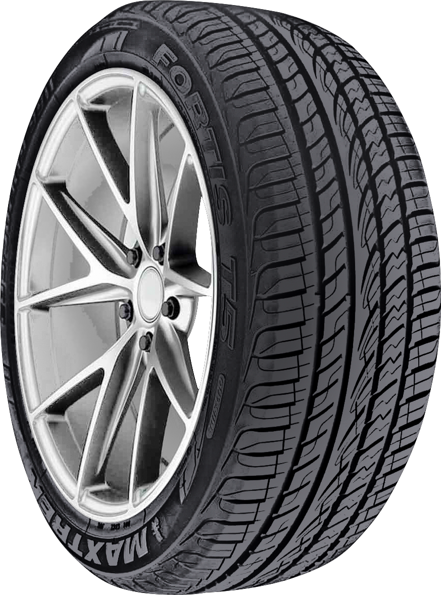 Maxtrek Fortis T5 255/45ZR19