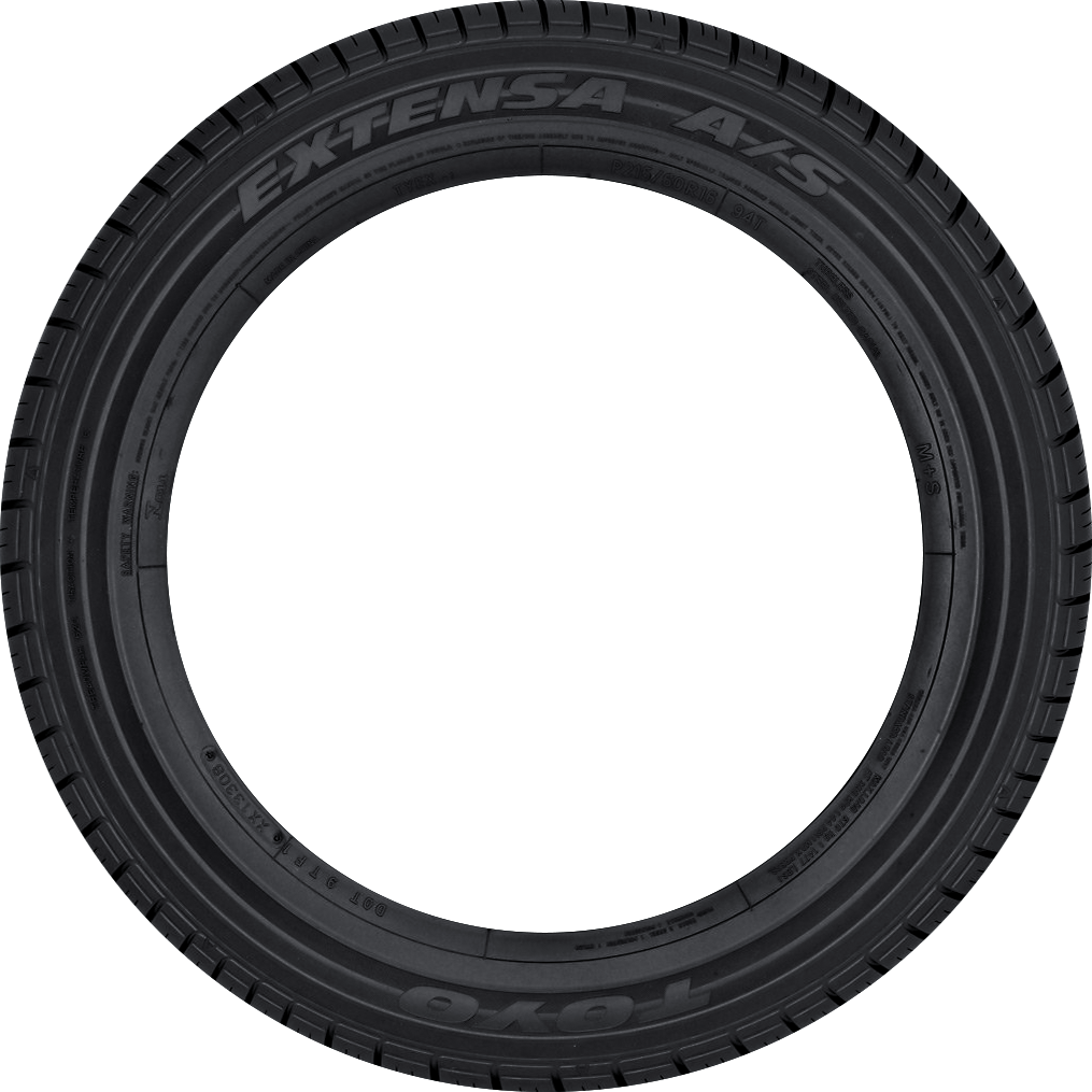 Toyo Extensa A/S 205/65R16