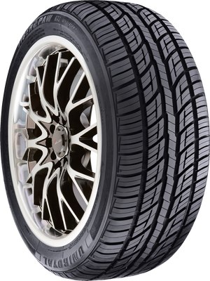 Uniroyal Tiger Paw GTZ A/S 2 215/50R17XL
