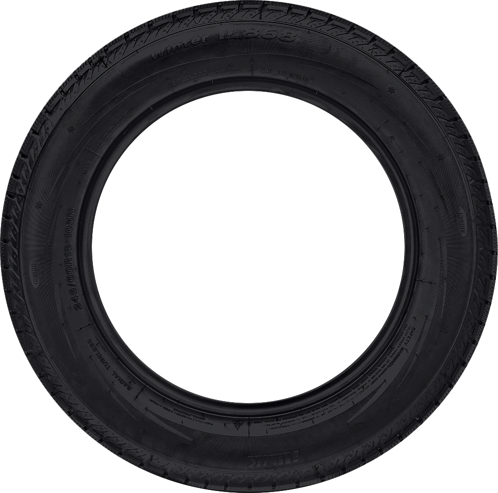iLink Winter IL868 245/55R19