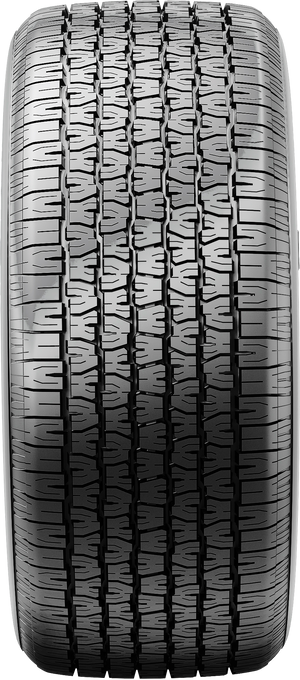 BFGoodrich Radial T/A P225/60R15 95S RWL
