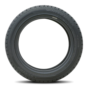 Dunlop Winter Maxx 2 195/65R15 91T