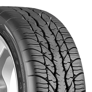 BFGoodrich g-Force Super Sport A/S 245/5016 - Wheelwiz